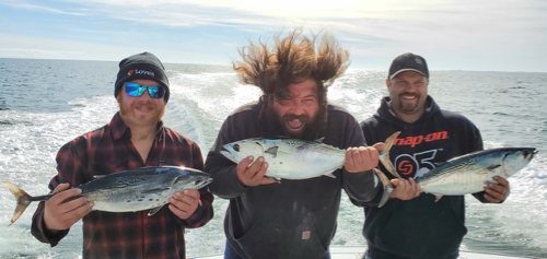 three men holding albacores one with his hair sticking straight up due to the wind from the boat moving . all smiles
