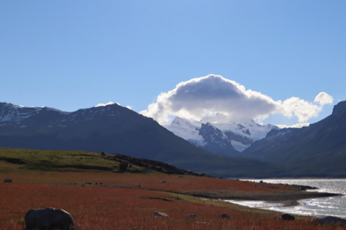 red flowered field with snowy mountain peek and lake in the view. a single white cloud rests above the snowy peak.
