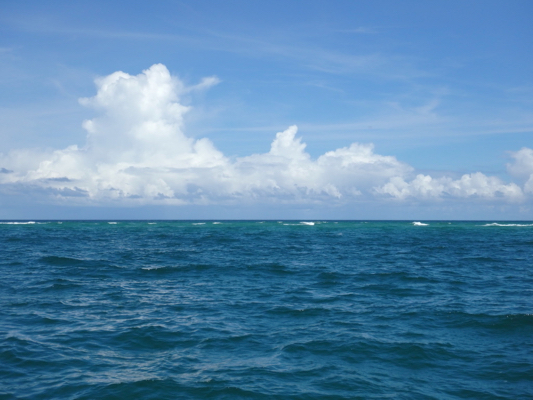 blue green ocean waters. blue sky with one white, tall  , thunderhead cloud on the horizon.