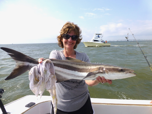A mom smiling holding a fifteen pound cobia which looks like a brown catfish with white stomach. It was released. She is holding it horizontally in our cockpit with a yellow fishing boat in the background. Water is hazy green