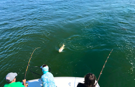 two anglers with rods bowed over in the cockpit of the boat. mate at the ready. one big redfish in the water is visible. 