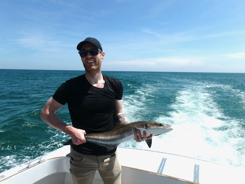 man holding a 15 pound cobia that he releases. cobia looks like a big catfish and the man is smiling